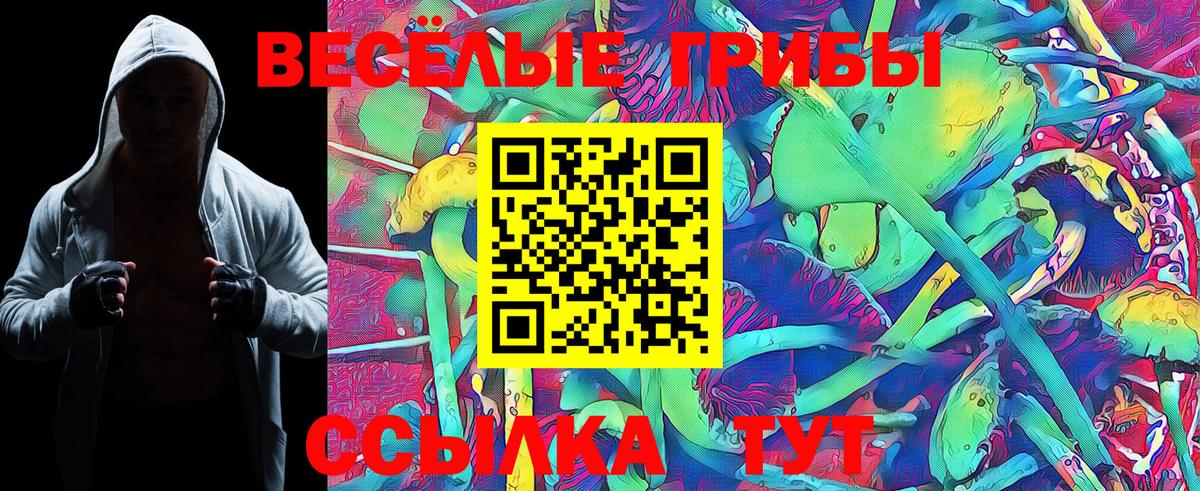 Псилоцибиновые грибы MAGIC MUSHROOMS  Галлюциногенные грибы мухоморы  Вход с VPN  Саратов 